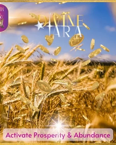 Activate-Prosperity-Abundance-1-1 copy
