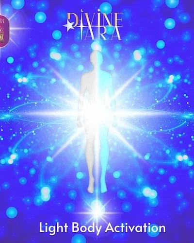 Light-Body-Activations-1-1-1 copy